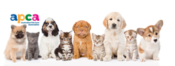 Australian Pet Care Association